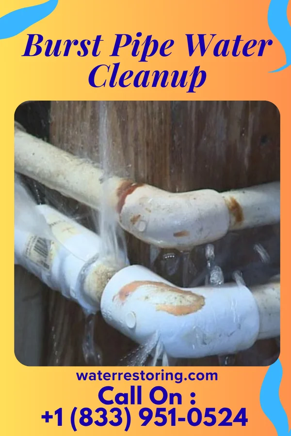 Burst Pipe Water Cleanup in Farmingdale, NY